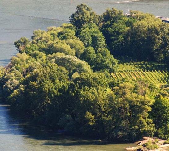 Insel Heylesen Werth | © Weingut Bastian Insel Heylesen Werth | © Weingut Bastian