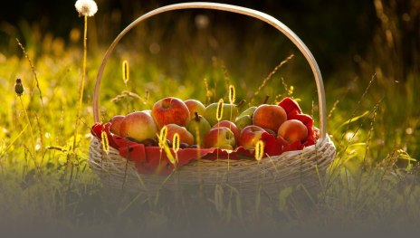 Obstkorb | © ©Klaus Peter Kappest/Verbandsgemeinde Weißenthurm