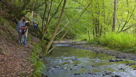 Wildromantisches Brexbachtal | &copy; Traumpfade, Klaus-Peter Kappest, Romantischer Rhein Tourismus GmbH
