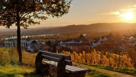 Blick vom Rothenberg | © Hochschulstadt Geisenheim Blick vom Rothenberg | © Hochschulstadt Geisenheim