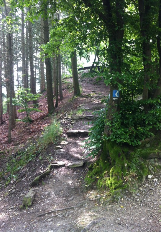 IMG_4131 | &copy; Eigentum