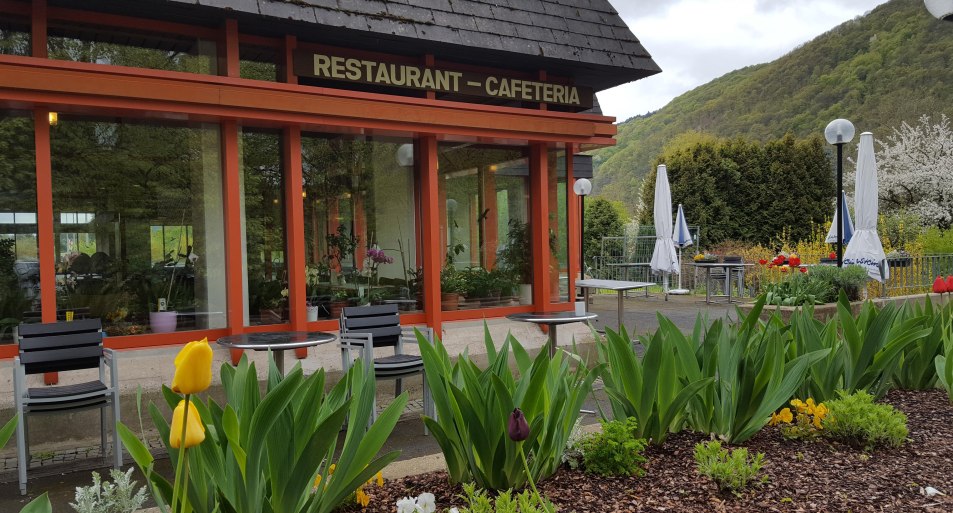 Restaurant am Hallenbad | &copy; Restaurant am Hallenbad