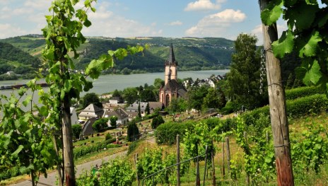 © Robert Carrera, WIESBADEN RHEINGAU
