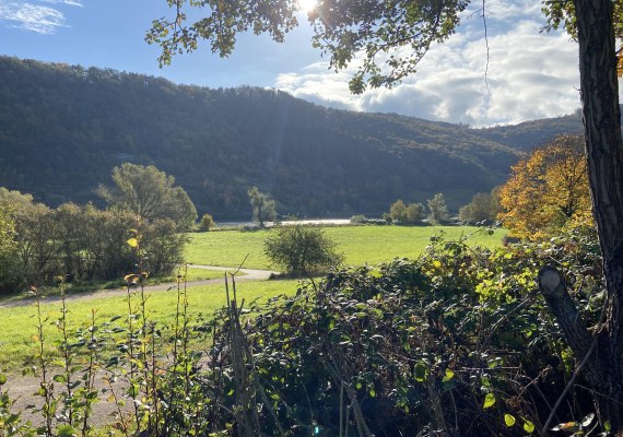 Moselchalet Koblenz Ausblick Herbst | &copy; Stefanie K&auml;fer
