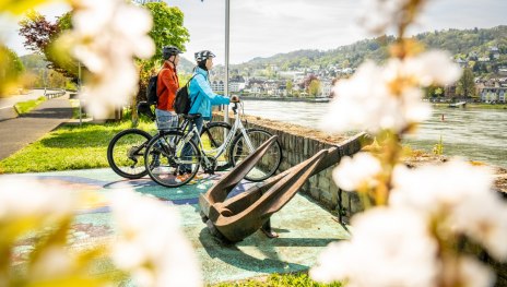 Rheinradweg bei Filsen | &copy; Dominik Ketz, Mittelrhein