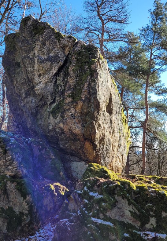 Kuckucksnacks h | © E. Bender Kuckucksnacks h | © E. Bender