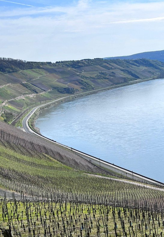 WhatsApp Image 2023-04-24 at 16.53.39 (1) | &copy; Fam.Lorenz