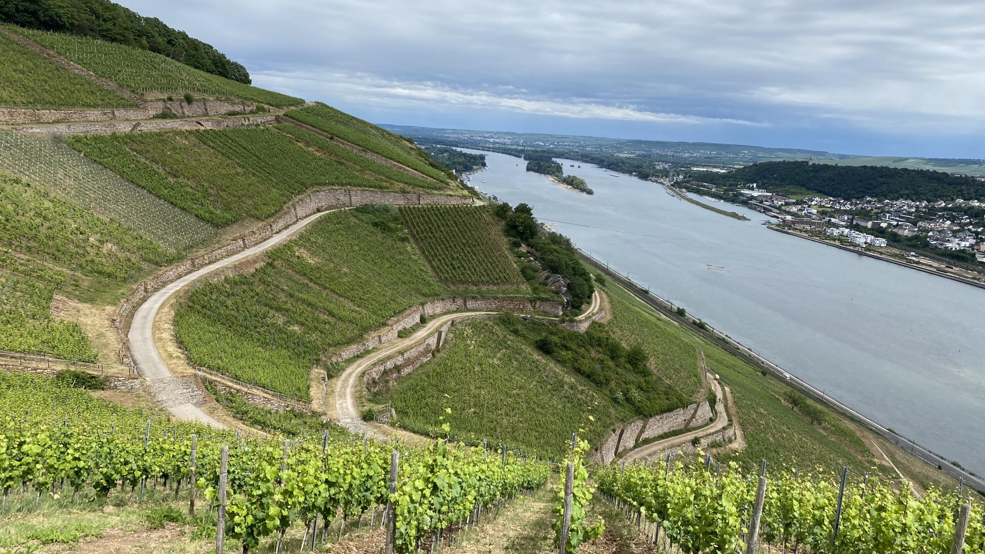 Weinberge | © Marion Schönherr Weinberge | © Marion Schönherr