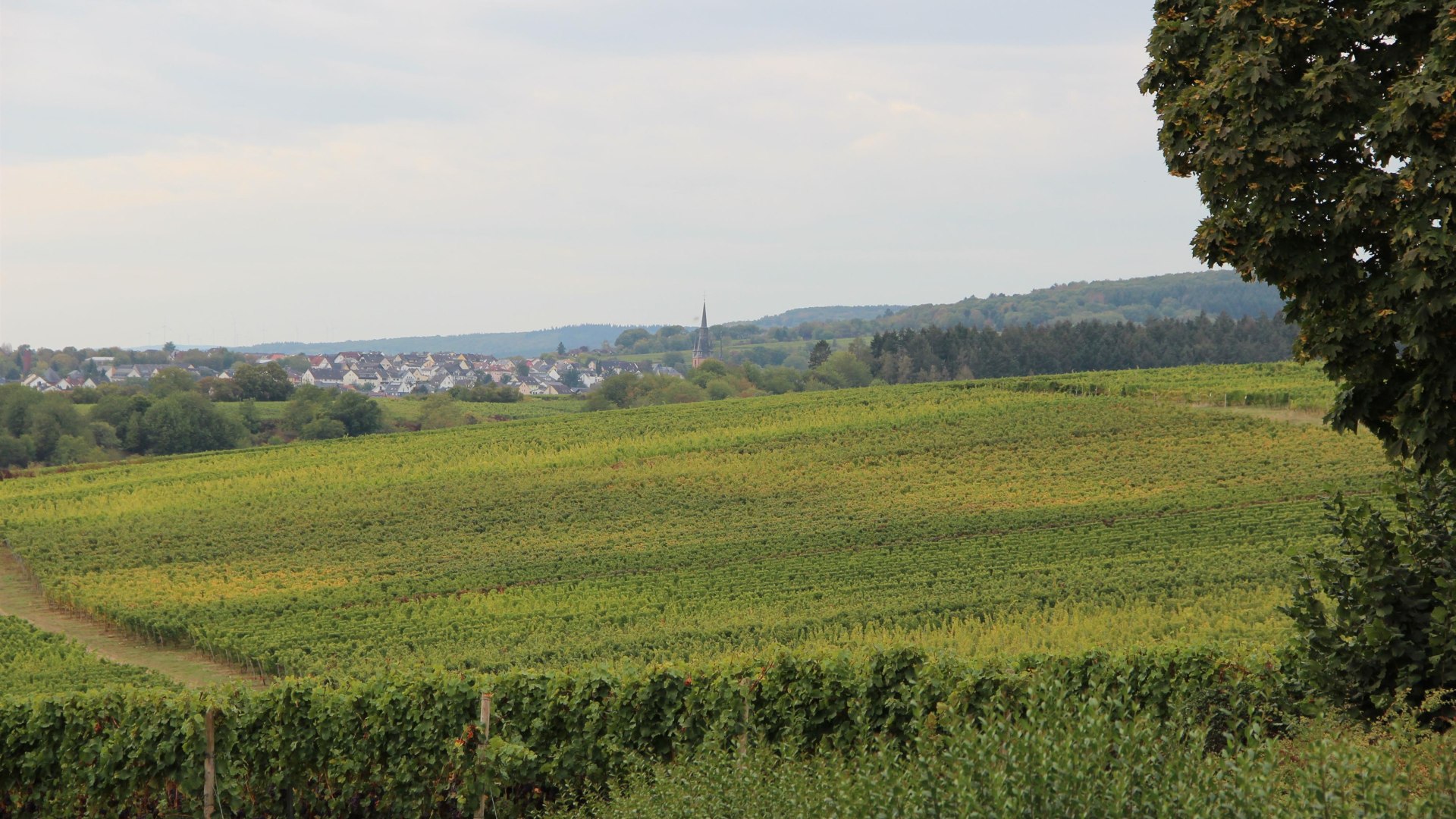 Urlaub mit dem Wohnmobil | © Werner Engelmann Urlaub mit dem Wohnmobil | © Werner Engelmann