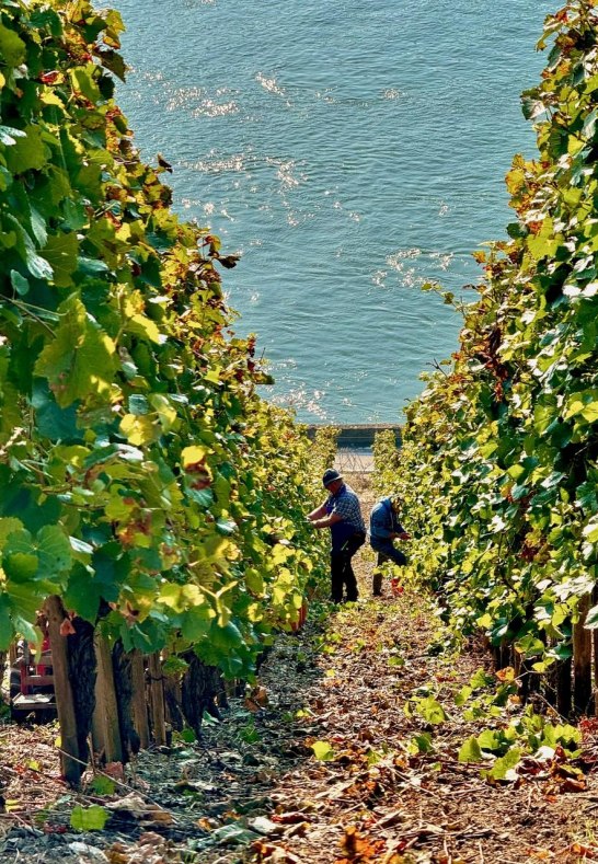 Lese 2024 15 | © Fam.Lorenz Lese 2024 15 | © Fam.Lorenz