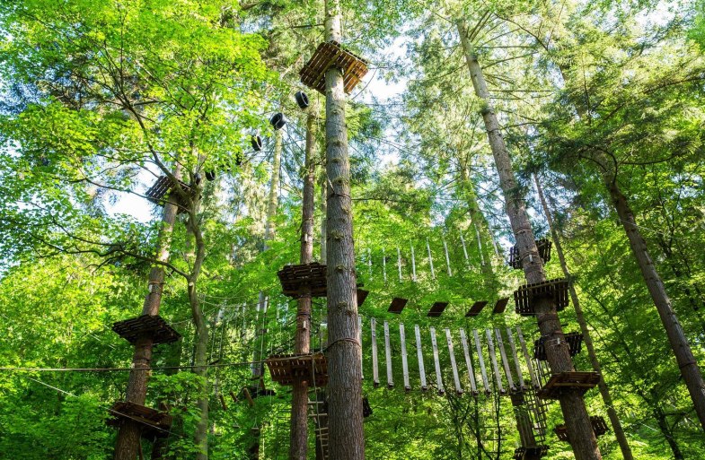 Kletterparcours | &copy; Henry Tornow/Romantischer Rhein Tourismus GmbH