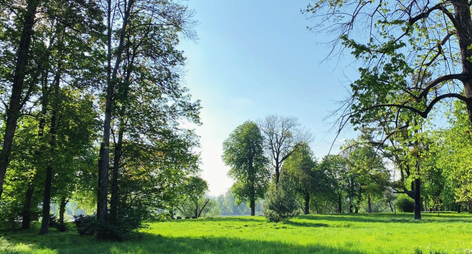 Schlosspark 02 | © Nadine Schöneberg Schlosspark 02 | © Nadine Schöneberg