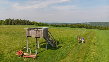 Aussichtskanzel bei R&uuml;scheid | &copy; Andreas Pacek , Touristik-Verband Wiedtal e.V.