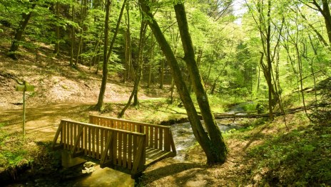 V&ouml;lkerwiesenbach | &copy; Dominik Ketz, Rheinland-Pfalz Tourismus GmbH