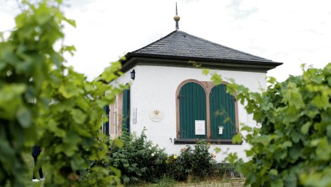 Gartenhaus | © REVOLUZZER Gartenhaus
