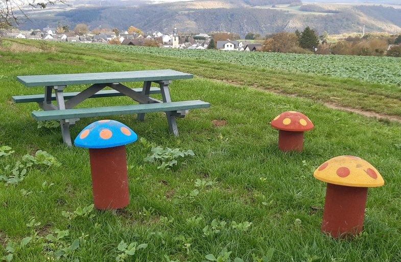 Picknickbank mit Taunusblick | &copy; T. Biersch