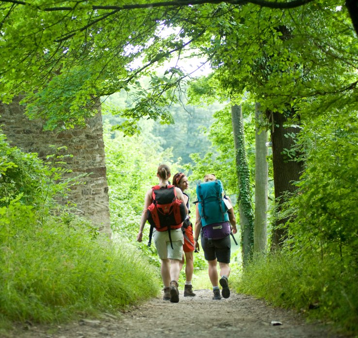 Hikers out in the open | &copy; Dominik Ketz / Rheinland-Pfalz Tourismus GmbH