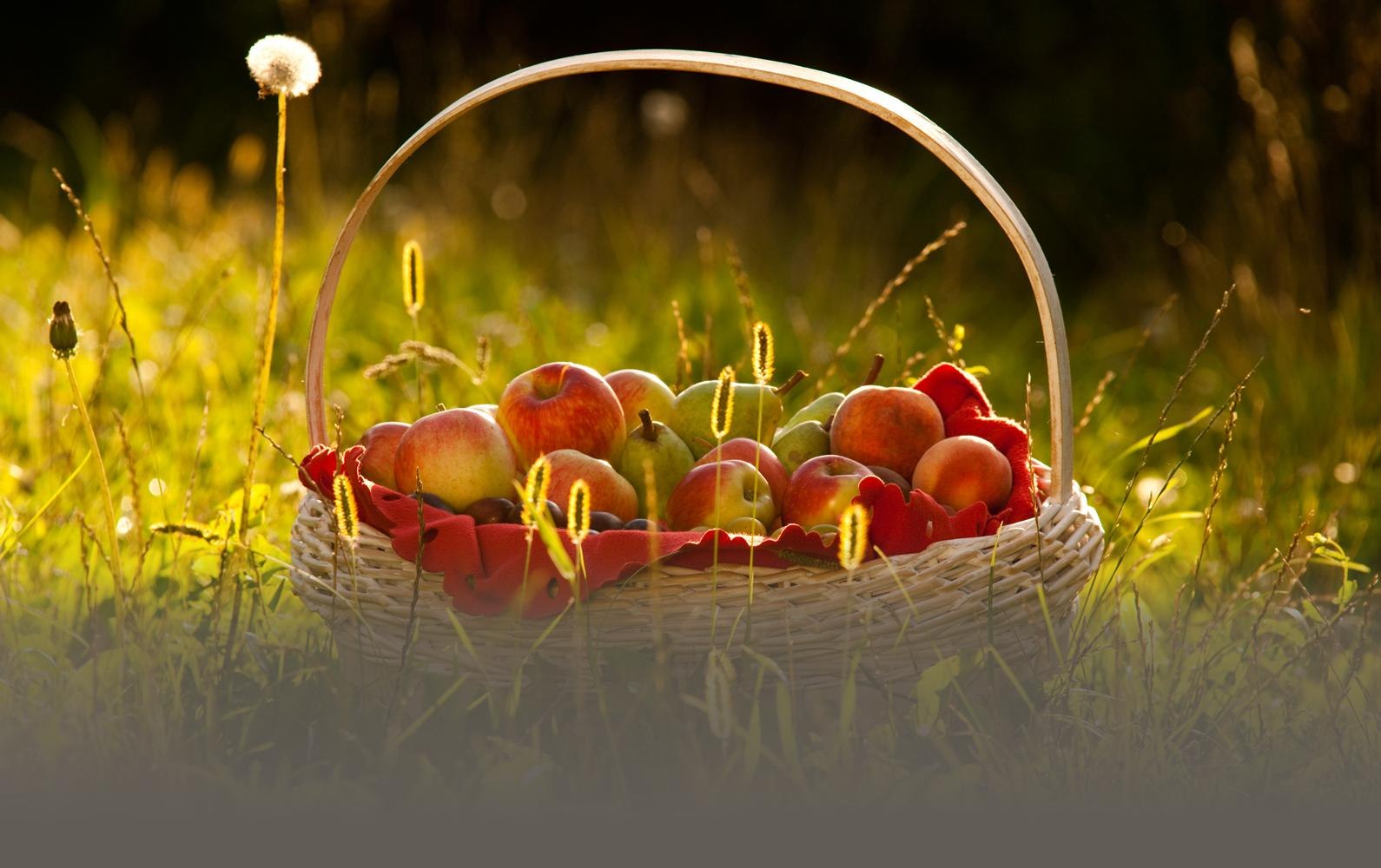 Obstkorb | &copy; &copy;Klaus Peter Kappes Verbandsgemeinde Wei&szlig;enthurm