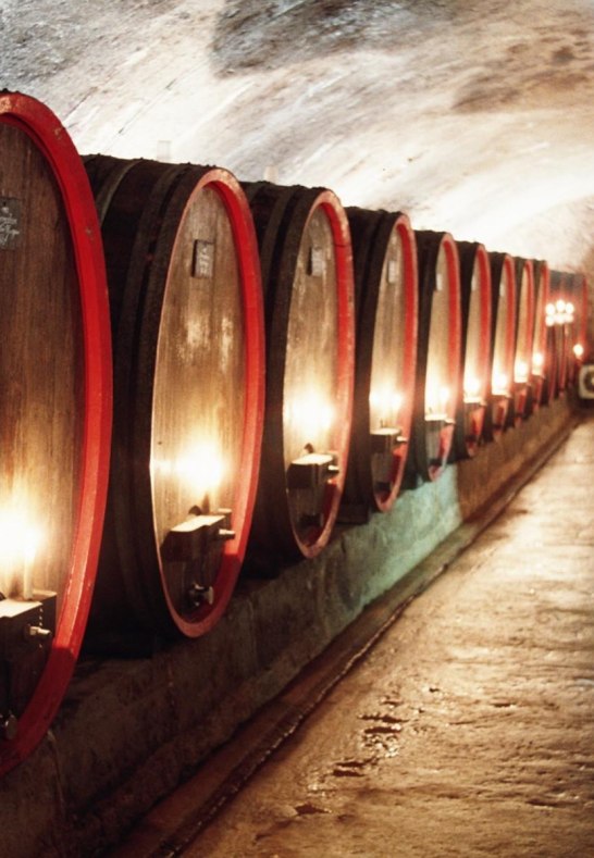 Weingut Lanius-Knab_Gewoelbekeller_Fuehrung_Weinpr | &copy; Lanius-Knab