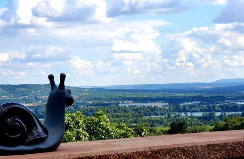 Ausblick Rheinblick | © Weingut Hof Rheinblick Ausblick Rheinblick | © Weingut Hof Rheinblick