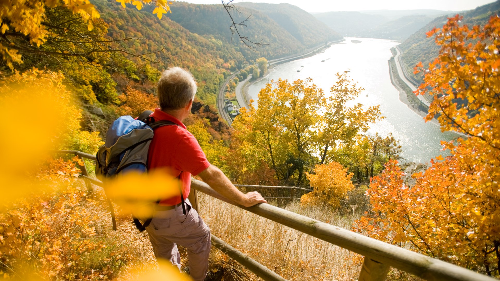 Leiselfeld in autumn | &copy; Dominik Ketz / Rheinland-Pfalz Tourismus GmbH