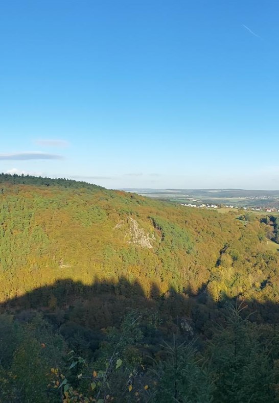 Vogelsnack im Herbst | &copy; B. Vogt
