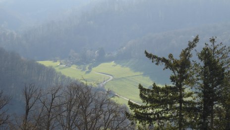 Blick vom Balkon in den grünen Heilwald | © Schröter-Bukvic