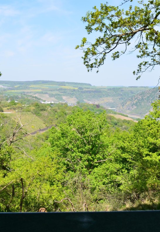 Hinnerbeil 5 | © Tourist-Information Oberwesel Hinnerbeil 5 | © Tourist-Information Oberwesel