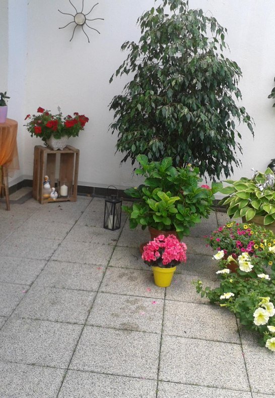 Hof | &copy; FeWo Funk