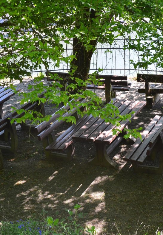 Sauzahn 4 | © Tourist-Information Oberwesel Sauzahn 4 | © Tourist-Information Oberwesel