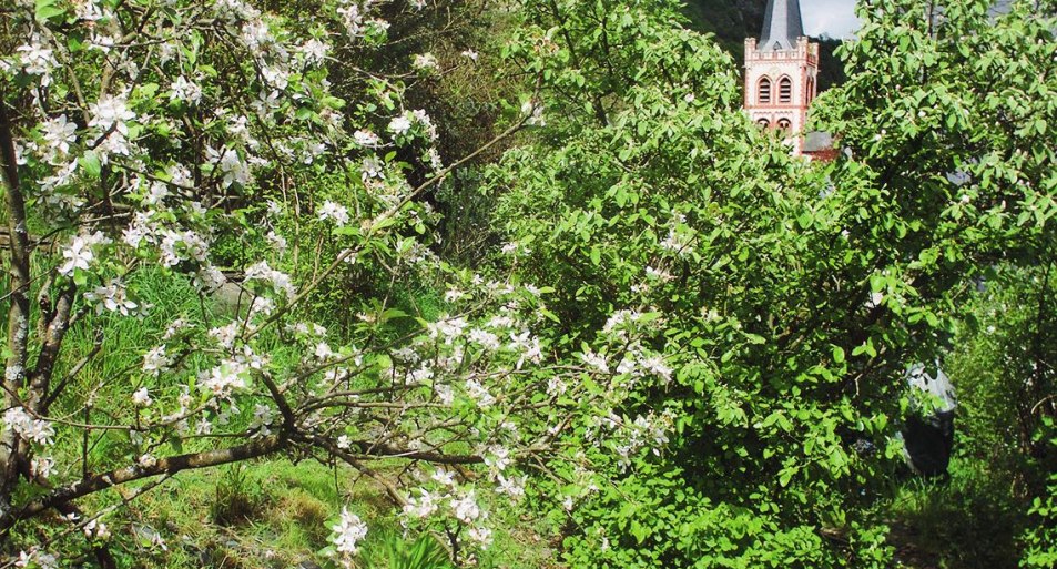 Winzergarten Bacharach Ausblick | &copy; Jean-Marc Petit