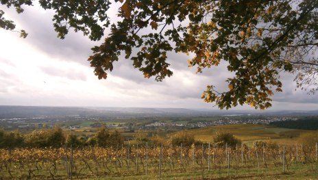Rauenthaler Spange | © Joachim Fox, Bauamt Stadt Eltville