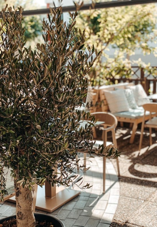 Ariston Lahnstein 4 | &copy; Ariston Lahnstein