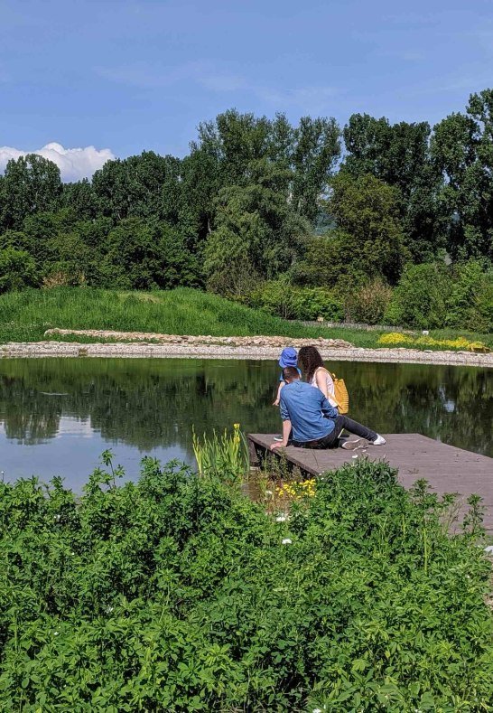 Teich im Nabu Zentrum | &copy; Nabu Zentrum Rheinauen