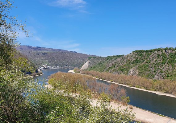 Rheinblick | &copy; T. Biersch